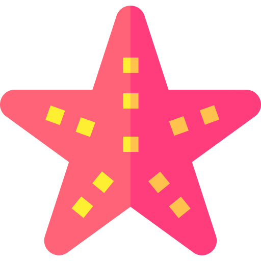 rozgwiazda Basic Straight Flat ikona