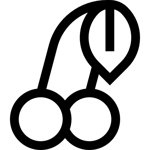체리 Basic Straight Lineal icon