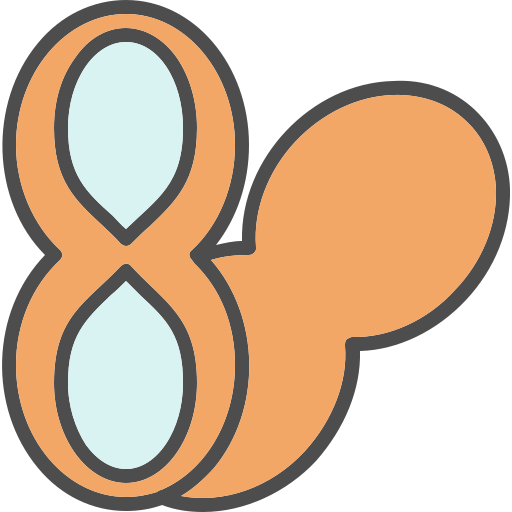 Peanut Generic color lineal-color icon