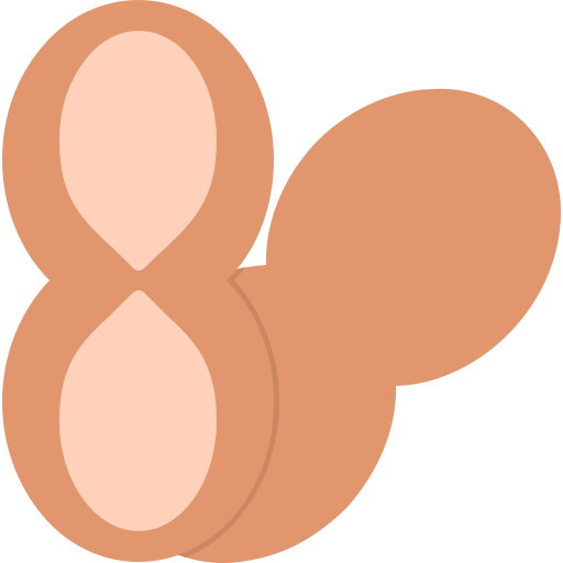 Peanut Generic color fill icon
