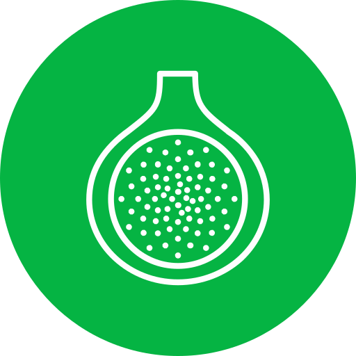 Fig Generic color fill icon