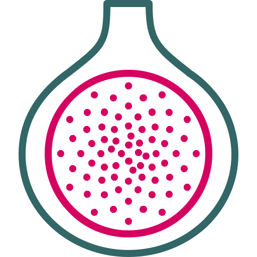 fig Generic color outline Ícone