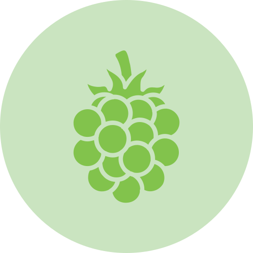 Blackberry Generic color fill icon