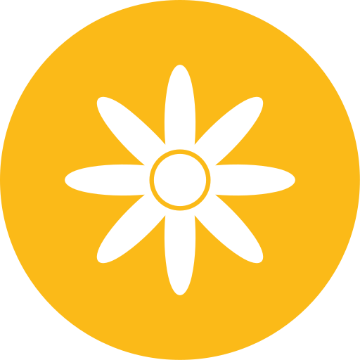 aster Generic color fill icon