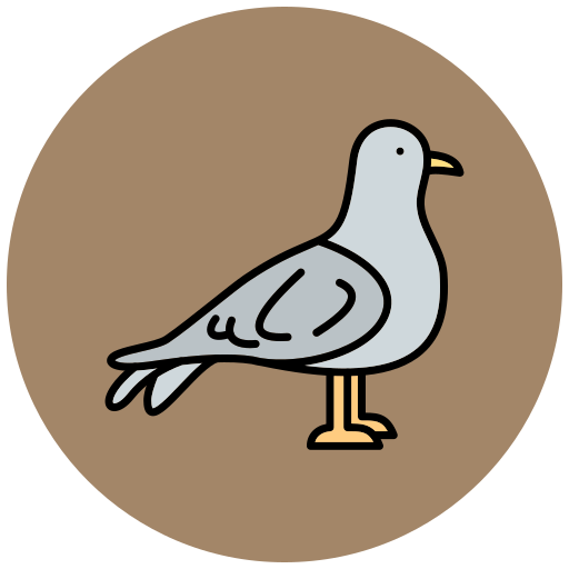 möwe Generic Outline Color icon