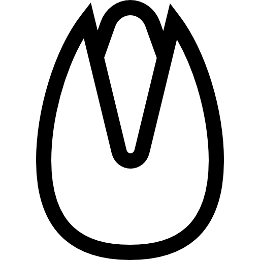 pistazie Basic Straight Lineal icon