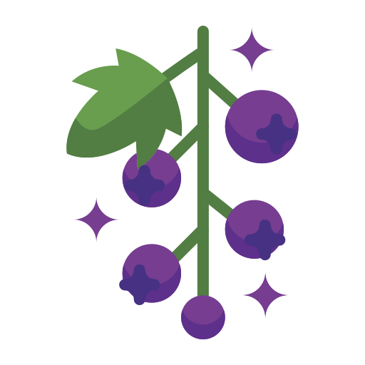 Blackcurrant Generic color fill icon