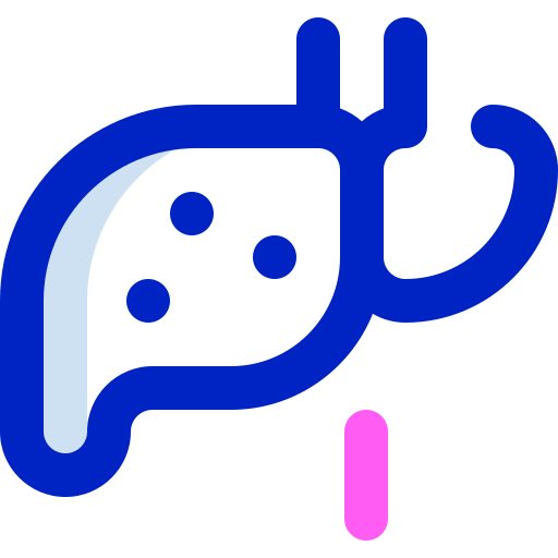 肝臓 Super Basic Orbit Color icon