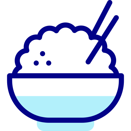 Rice bowl Detailed Mixed Lineal color icon