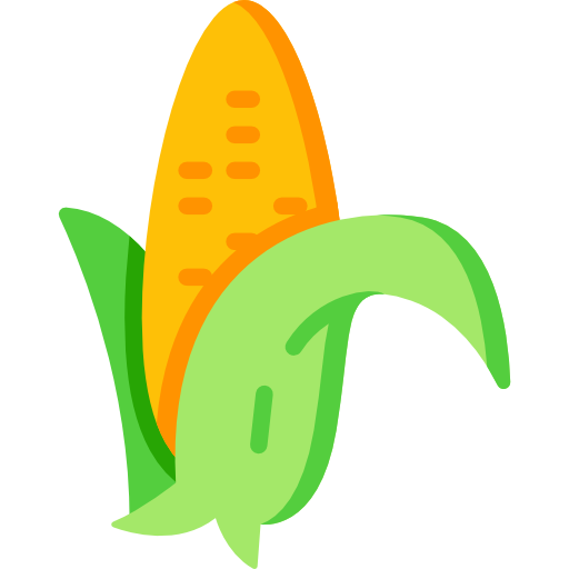 Corn Special Flat icon