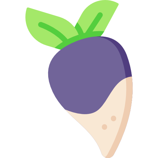 Turnip Special Flat icon