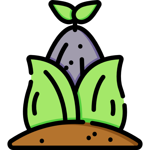 Sprout Special Lineal color icon