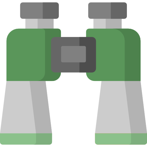 Binoculars Special Flat icon