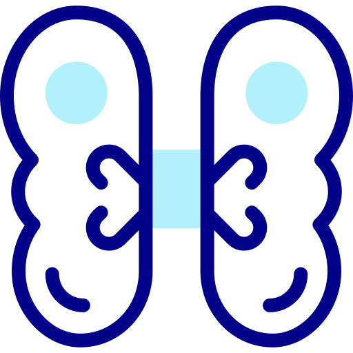 翼 Detailed Mixed Lineal color icon