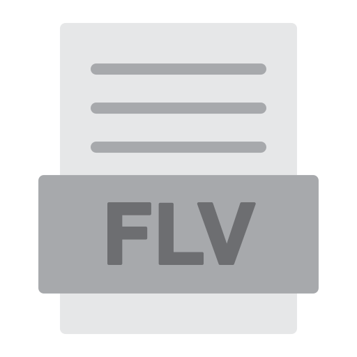 flv 파일 Generic color fill icon