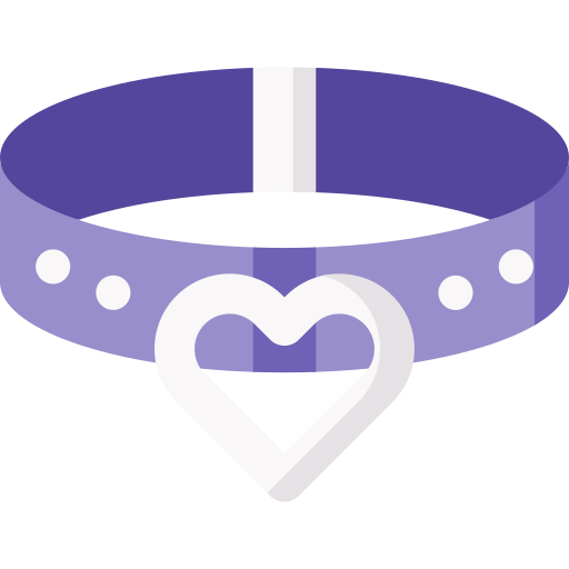 Choker Special Flat icon