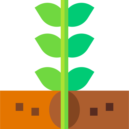 Coffee plant Basic Straight Flat icon