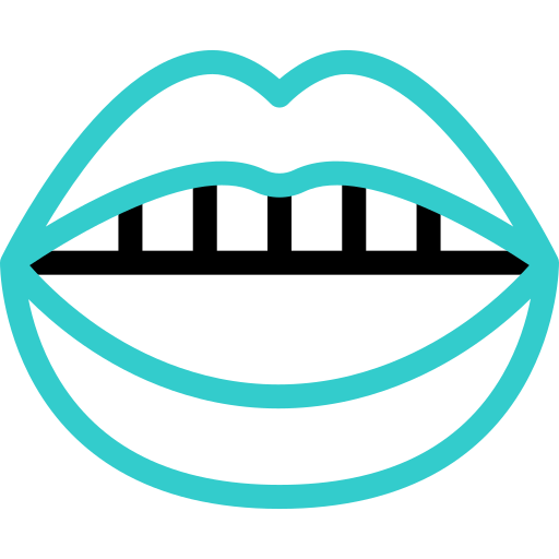 lippen Basic Accent Outline icon