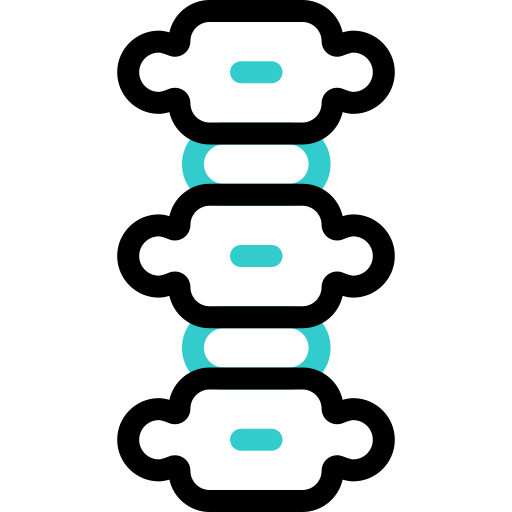 colonna vertebrale Basic Accent Outline icona