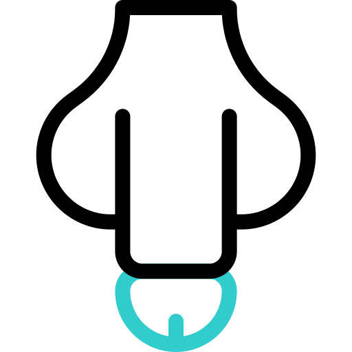 陰茎 Basic Accent Outline icon