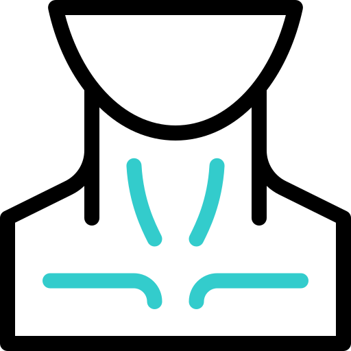 cuello Basic Accent Outline icono