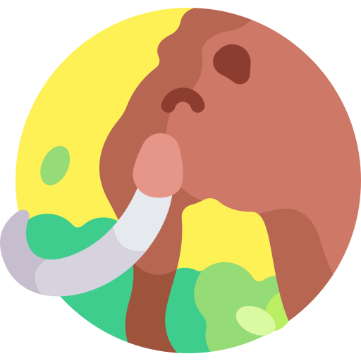 mammut Detailed Flat Circular Flat icona