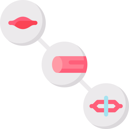 Myofibril structure Special Flat icon