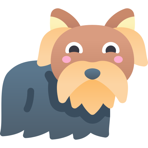 yorkshire terrier Kawaii Star Gradient icono