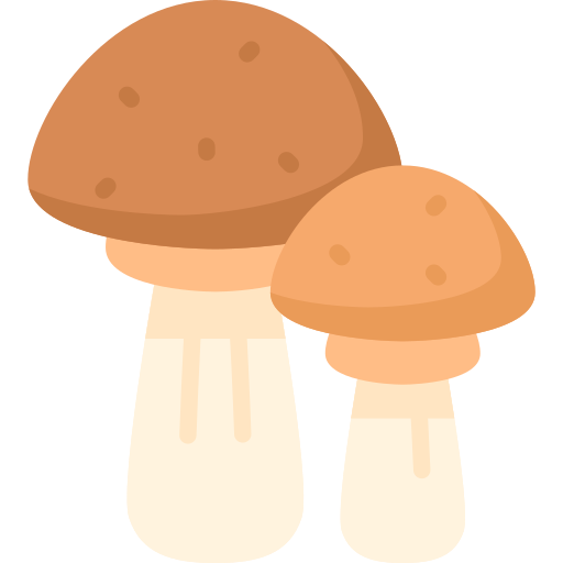 cogumelos Special Flat Ícone