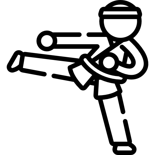 Тхэквондо Special Lineal иконка