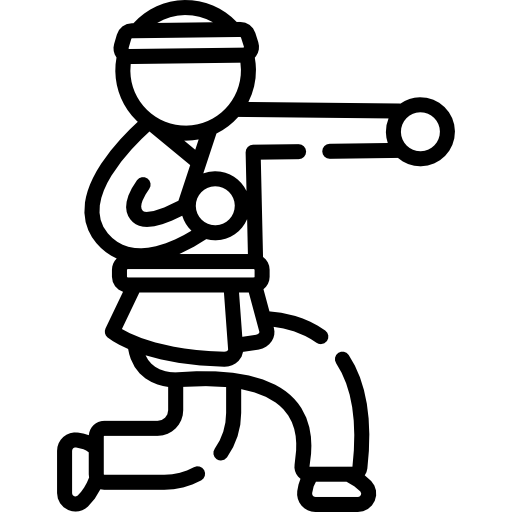 카라테 Special Lineal icon