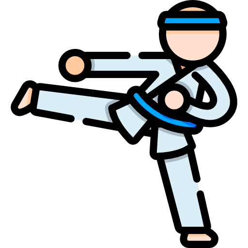 taekwondo Special Lineal color icon