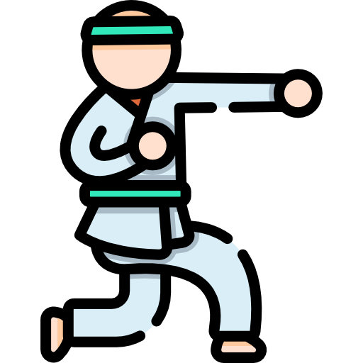 karate Special Lineal color icon
