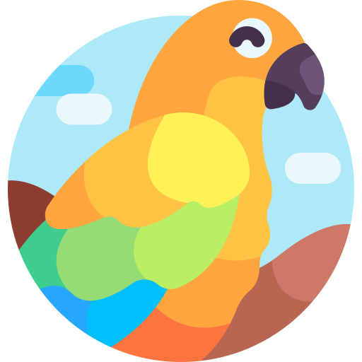 papagei Detailed Flat Circular Flat icon