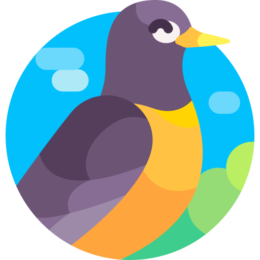 Robin Detailed Flat Circular Flat icon