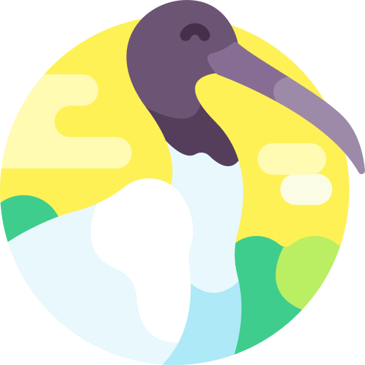 ibis Detailed Flat Circular Flat ikona