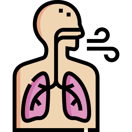 sistema respiratorio Detailed Straight Lineal color icono