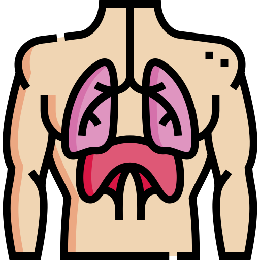 sistema respiratorio Detailed Straight Lineal color icono