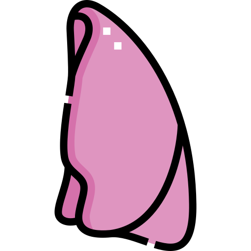 肺 Detailed Straight Lineal color icon