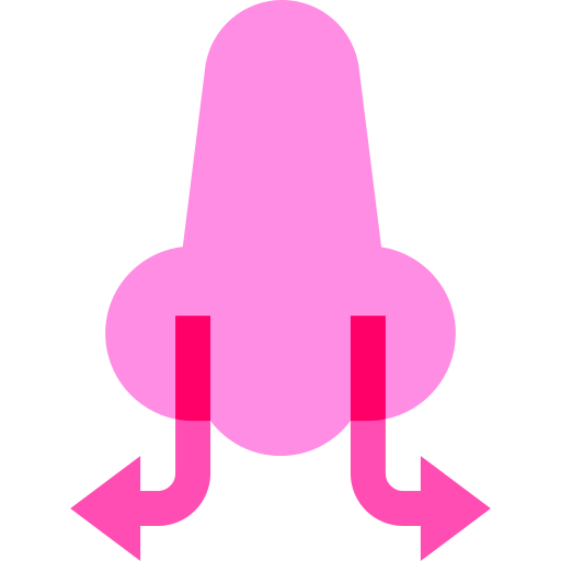 geruch Basic Sheer Flat icon