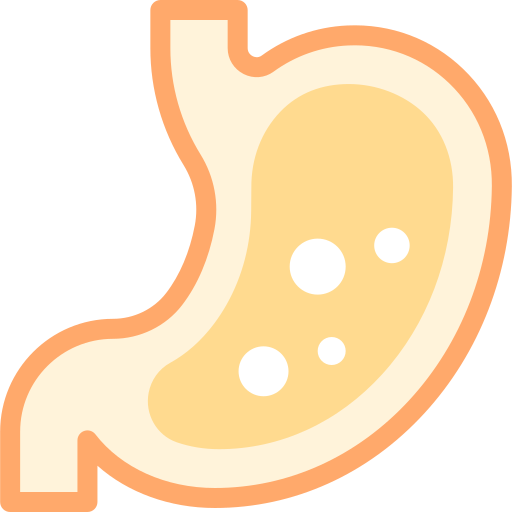 Stomach Detailed color Lineal color icon