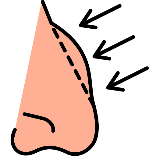 rhinoplastie Generic color lineal-color Icône