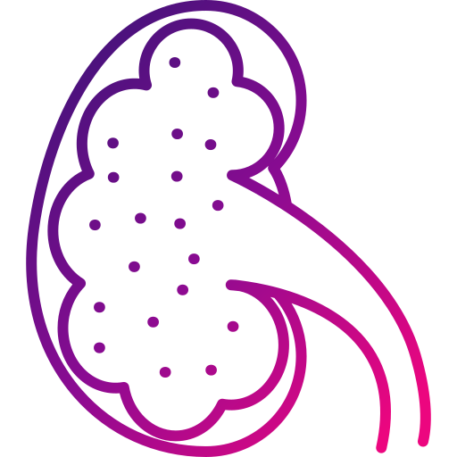 riñón Generic gradient outline icono