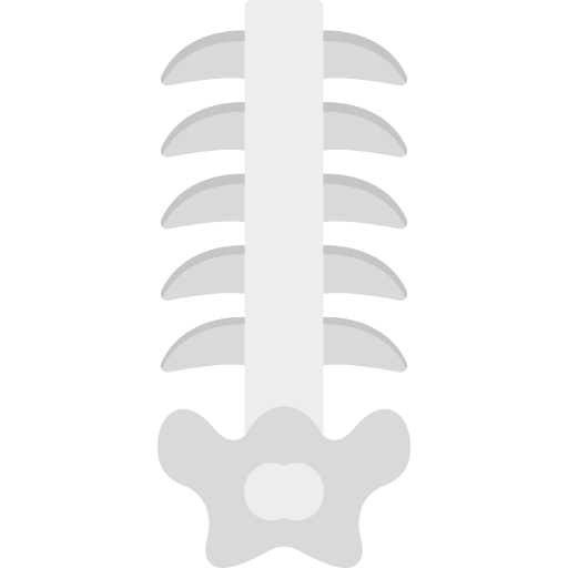 Columna vertebral Generic color fill icono