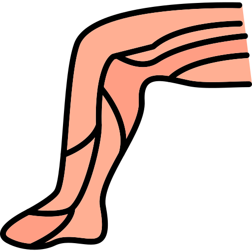 perna Generic color lineal-color Ícone