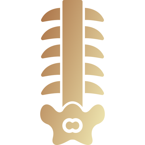 Columna vertebral Generic gradient fill icono
