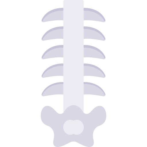 Backbone Generic color fill icon