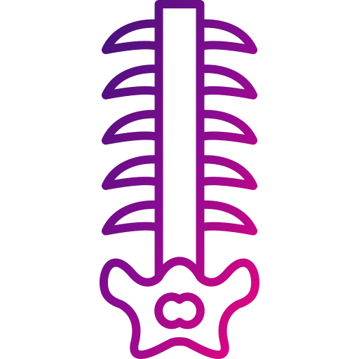 spina dorsale Generic gradient outline icona