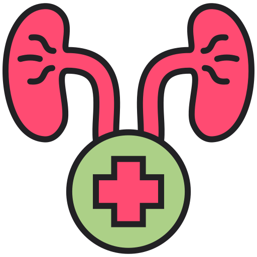 Urology Generic color lineal-color icon