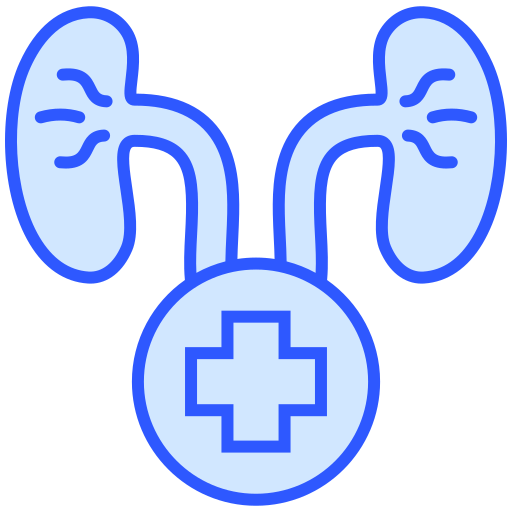 urologie Generic color lineal-color icon